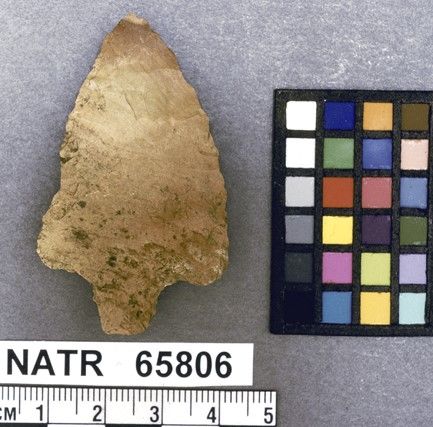 NATR   65806 -- Untyped projectile point