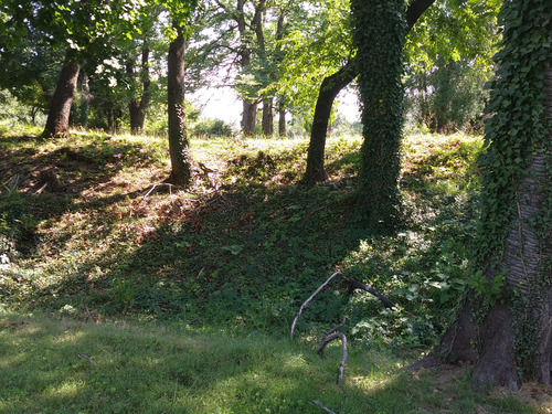 Trees grow from a shady earthwork mound.