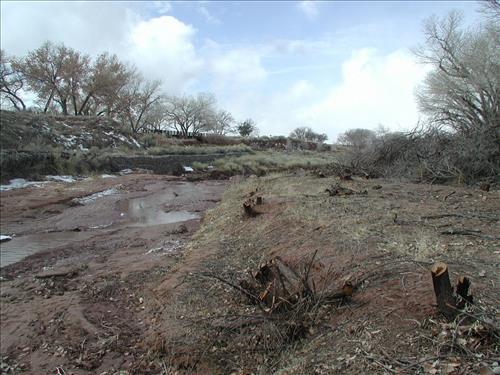 Hubbell Trading Post Exotic Species Pile Burning, February 2002