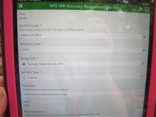 GRSM Accuracy Assessment. Plot Code: GRSM_AA_0915_1