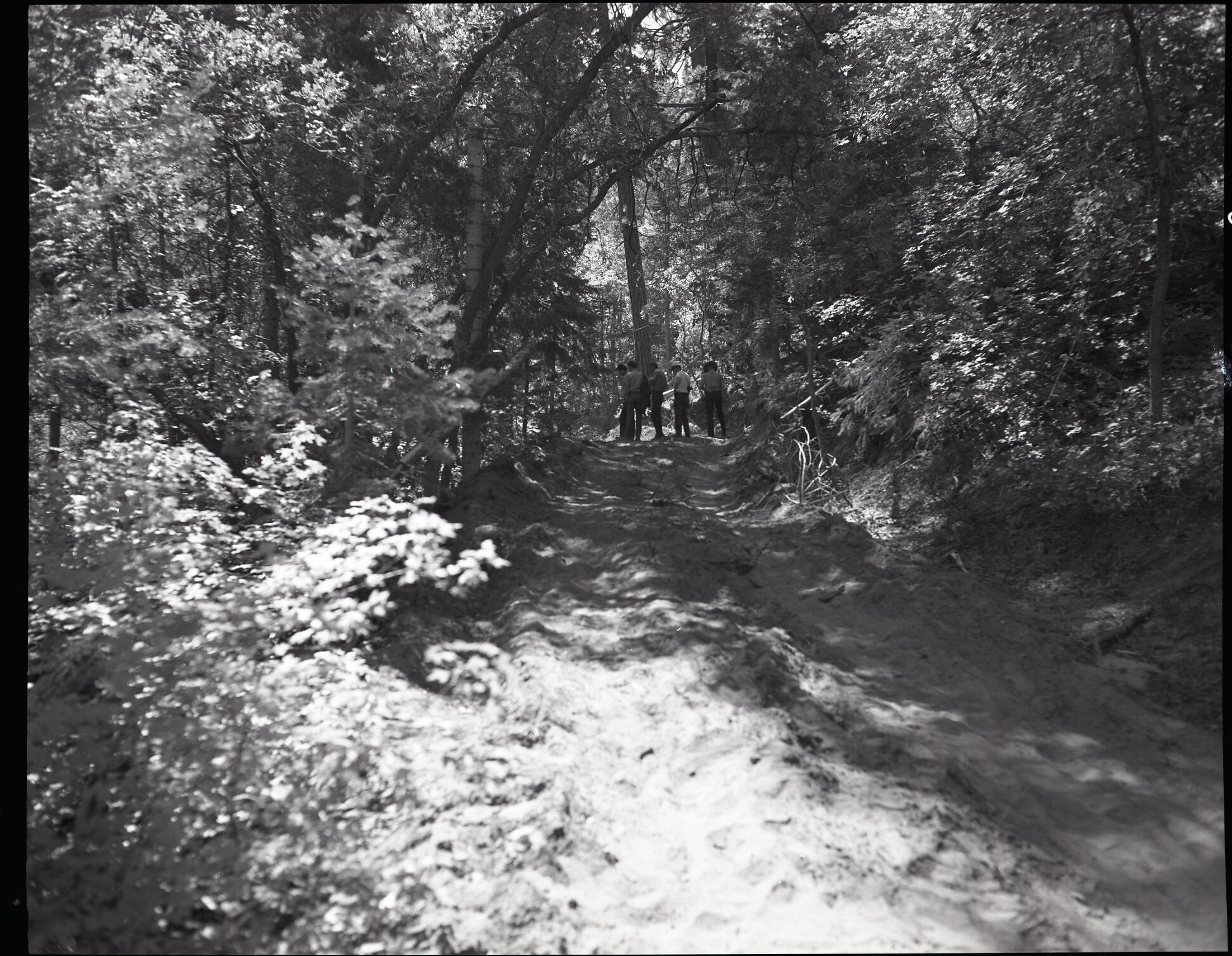 Dirt road from Potato Hollow to Kolob Creek, bulldozer graded road section on park land.