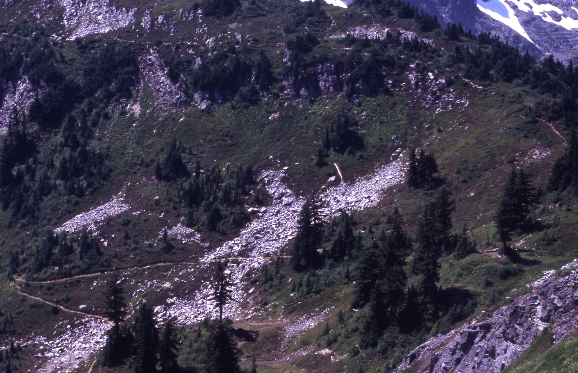 Grassy and rocky mountain slopes studded in trees and shrubs. Trails cut through the landscape.