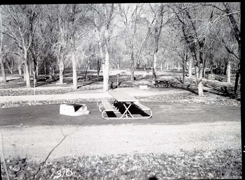 Campsite in new South Campground featuring shop-made table and cinder concrete fireplace.