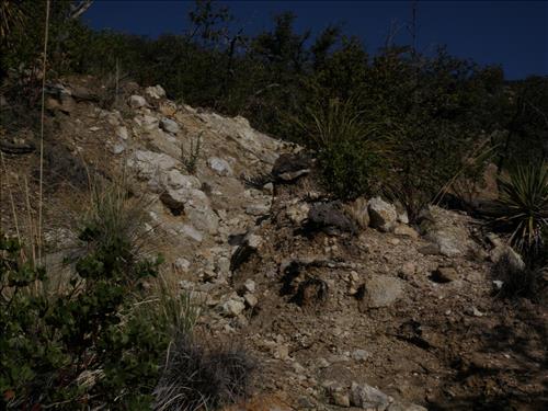 SAGU Saguaro Miller Creek Trail Deficiency Photos 2014 Fall
