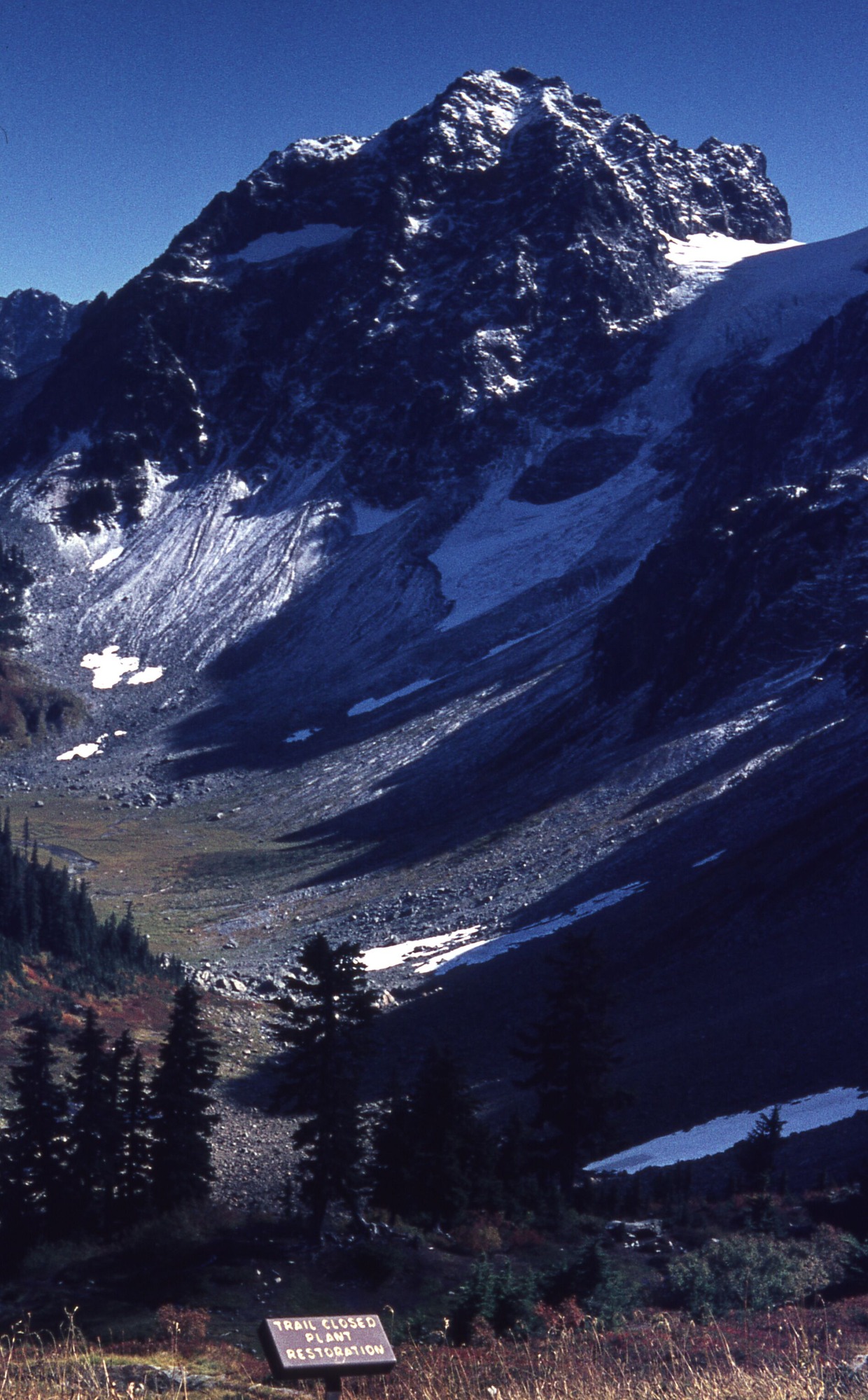 A rocky basin of snow and rock. In the distance is a blunted peak and in the foreground is a forested area with a dirt clearing. In the extreme foreground is a sign that reads "trail closed, plant restoration."