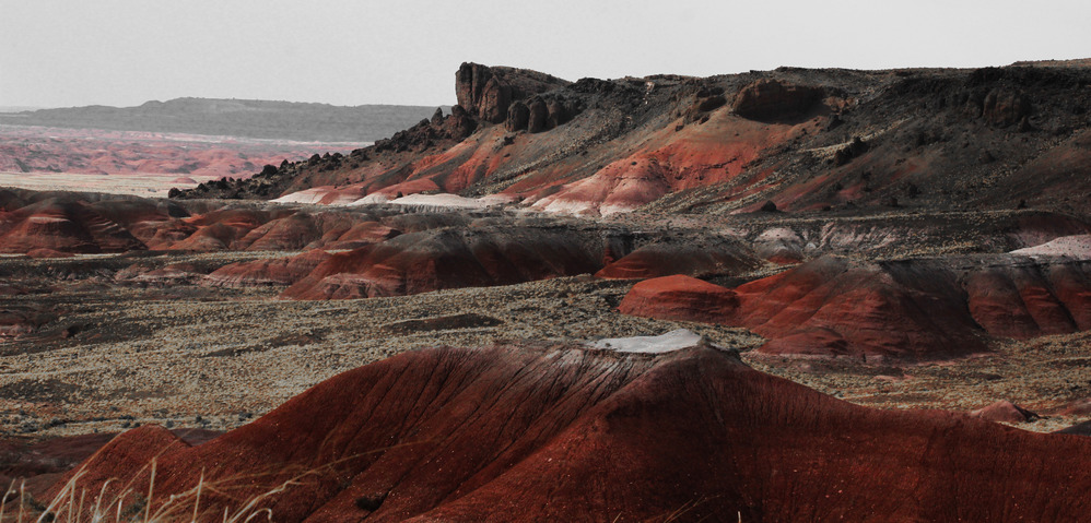 The volcanic Bidahochi Formation