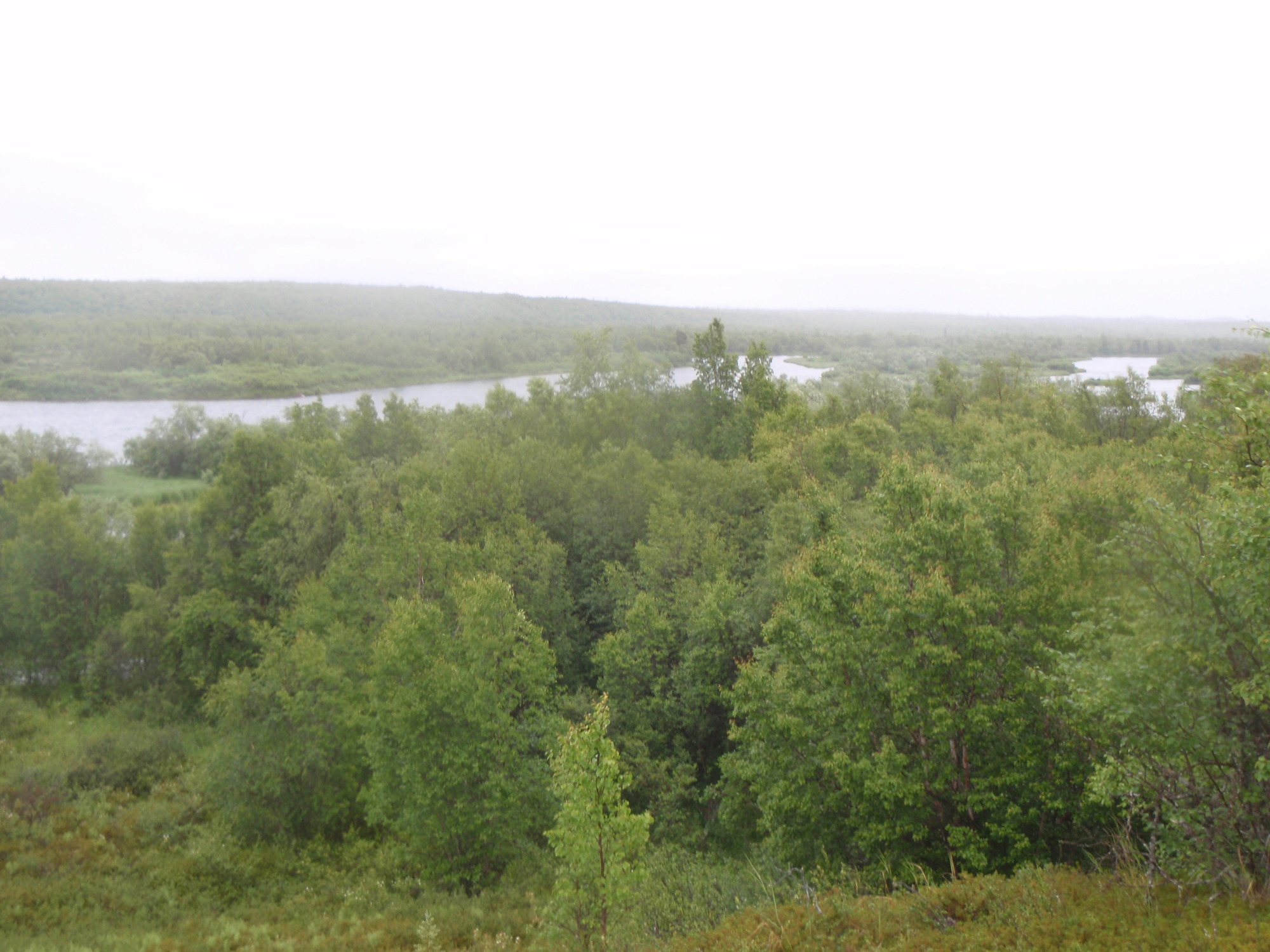 Representative photo of Alagnak landcover class