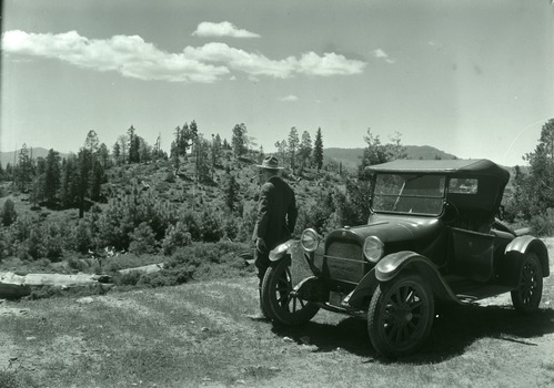 Yosemite Lumber Co. Reproduction on cutover lands timber cut & logged 1915.