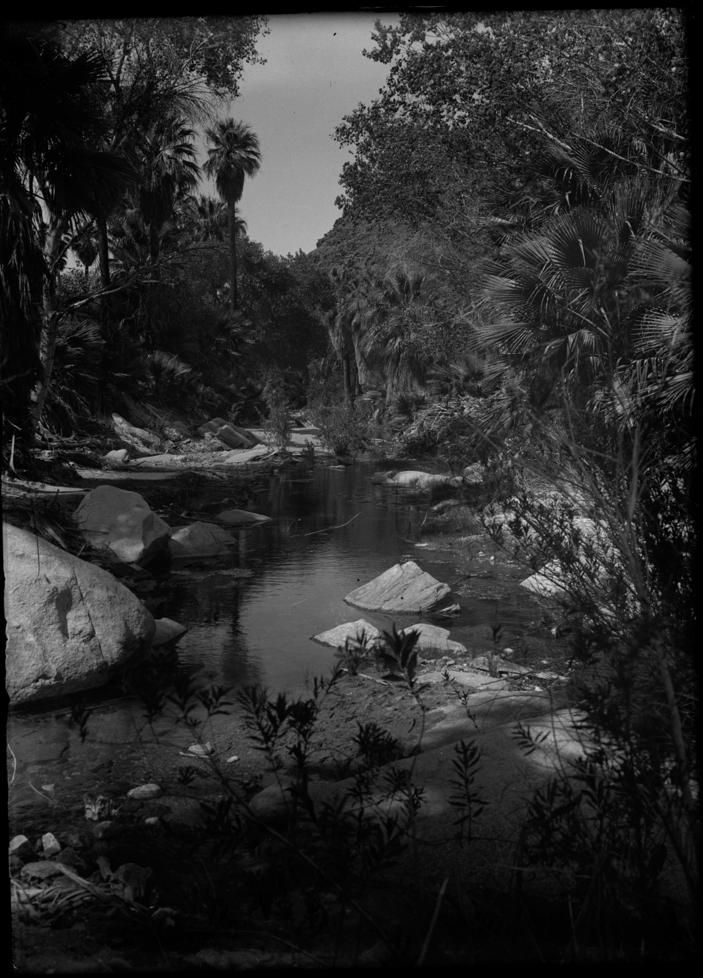 SEKI Roberts Collection Series: 1 Glass Plates; 1 Small glass plates; 10 Outside of the Park
