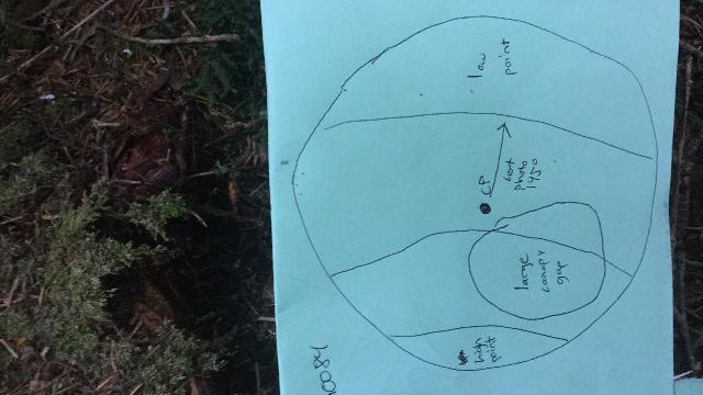GRSM Accuracy Assessment. Plot Code: GRSM_AA_0084_map