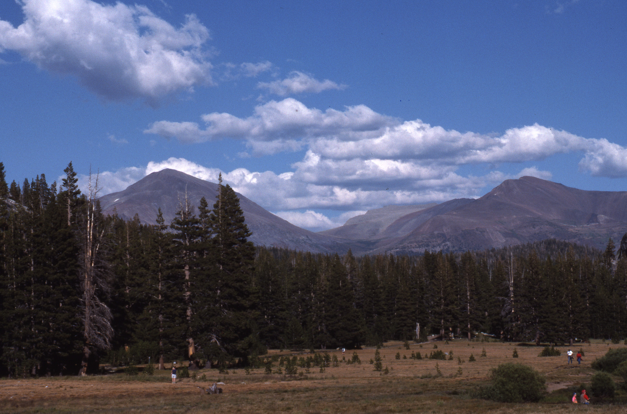 Tuolumne Meadows