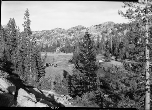 Meadow below Wilmer Lake.