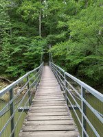 A wooden bridge over a creek in a wooded area.