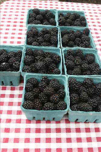 Countryside Farmers' Market produce