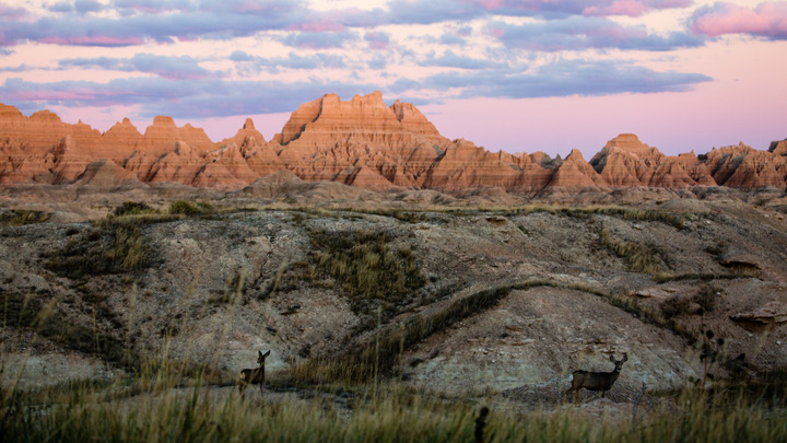 The setting sun illuminates the ridges and hills at Badlands National Park. Below the ridges and hills are dispersed areas of grasses and several deer. 