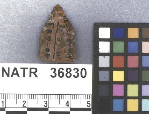 NATR   36830 -- Late Woodland / Miss Triangular Cluster projectile point