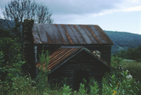 Home with a stone chimney and sheet metal roof stands among lush greenery. A few people stand below the house on the right side, partially blocked by milkweed and other tall plants.