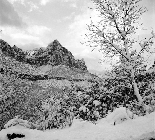 Winter storm. Storm began 7 p.m. on January 18, 1955 leaving 27-inches of snow at East Entrance and 14-inches of snow at South Entrance. View of the Watchman covered in snow in background.