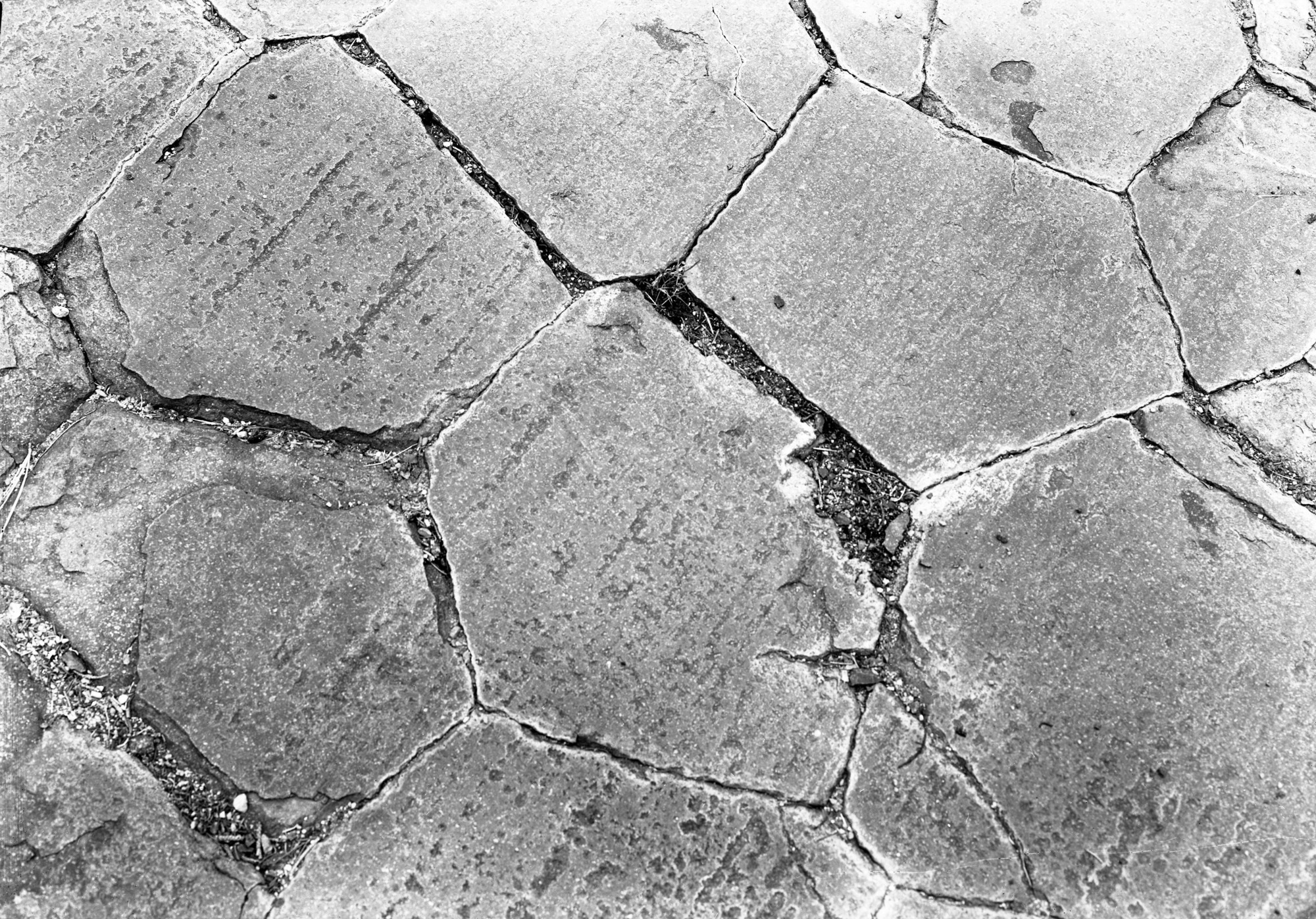 Mosaic of the tops of posts at Devil Postpile.