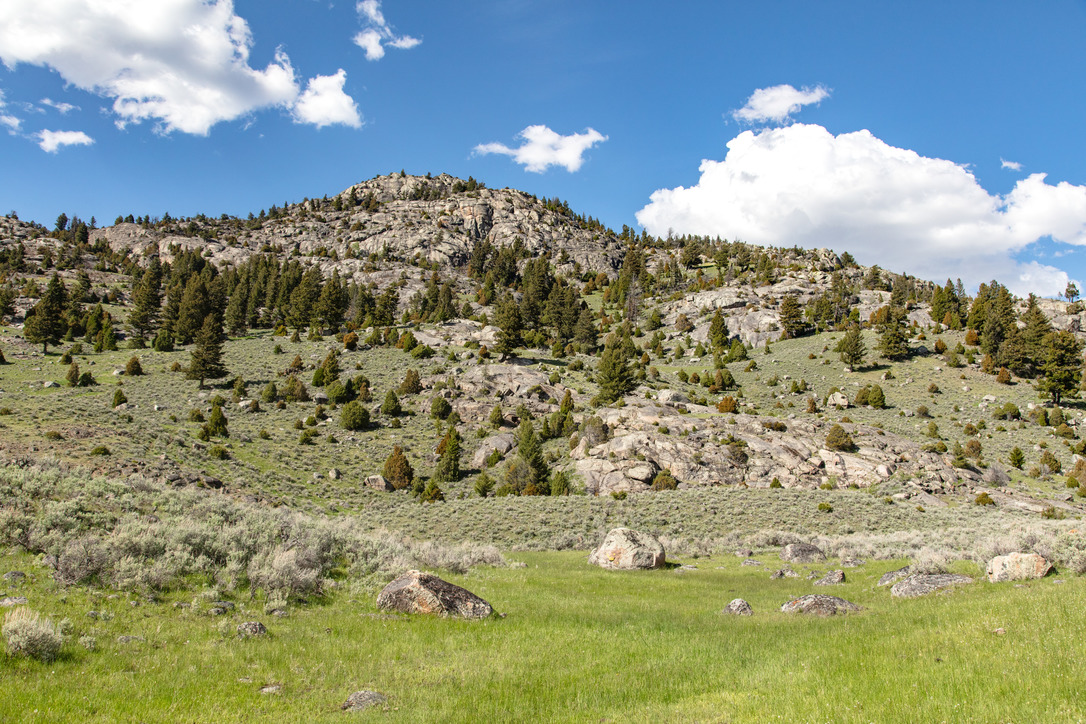 Looking upward to a rocky tree covered hill 