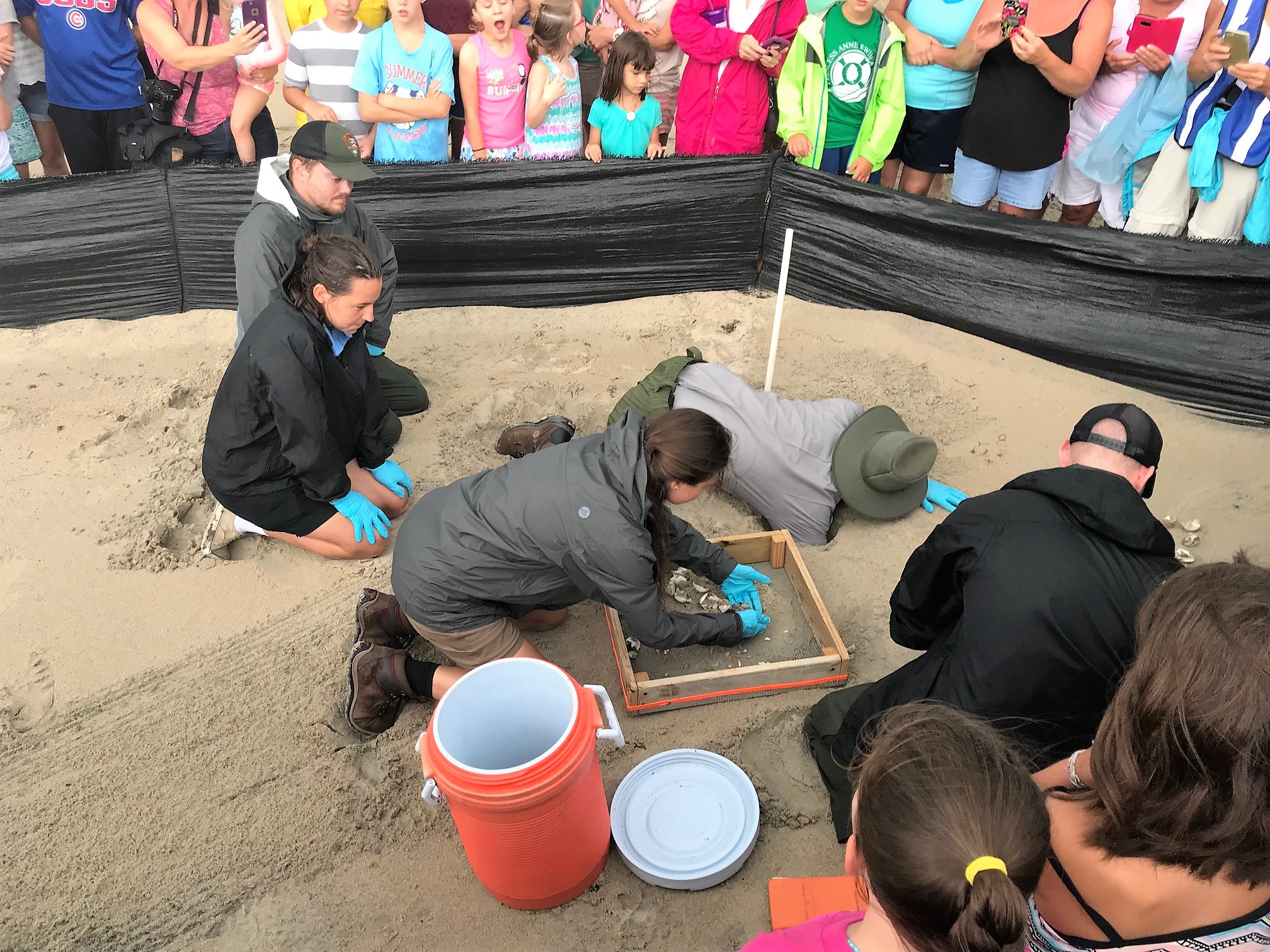 Biotechs performing a sea turtle nest excavation near Ramp 55.