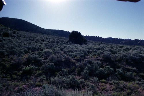 Color Photos of Cave Valley area.