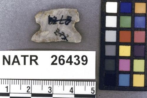 NATR   26439 -- Untyped projectile point