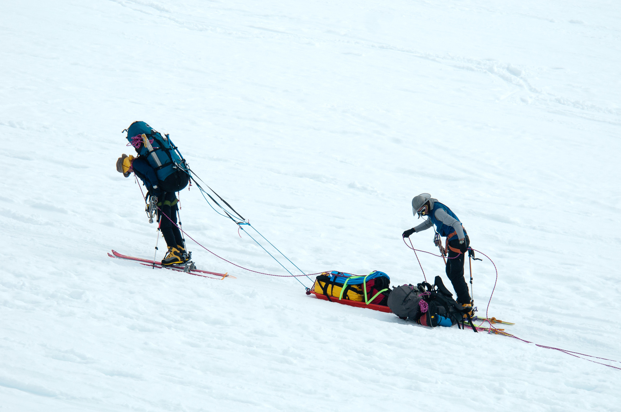 two mountaineers tethered together, pulling sleds up a glacier