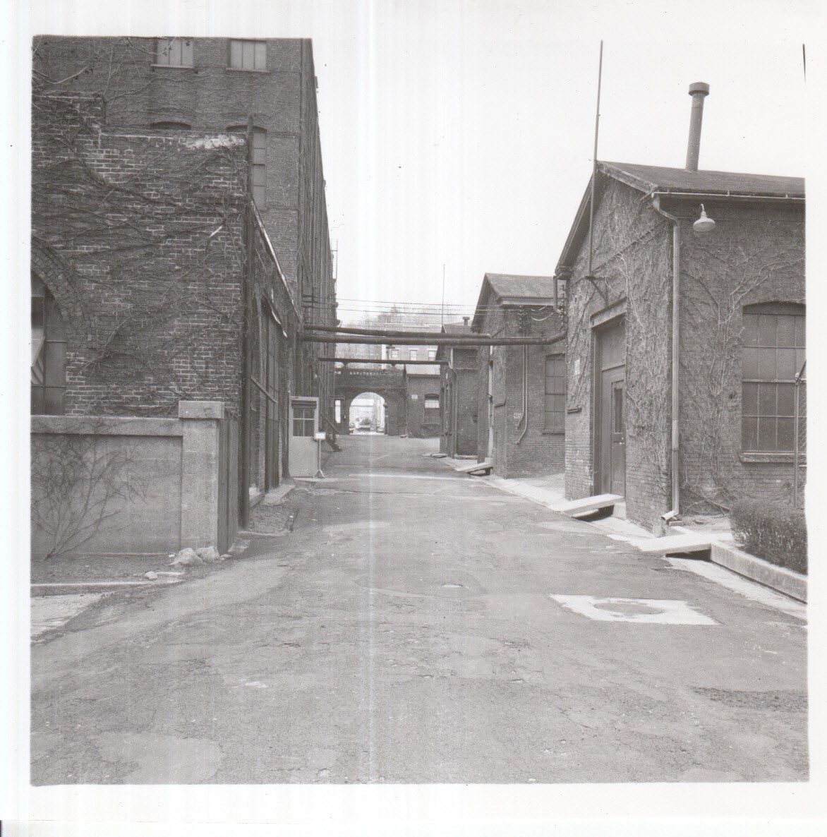 Laboratory, driveway lined by Buildings 5 and 6 on left and Buildings 2, 3, and 4 on right, facing Main Street gate.
