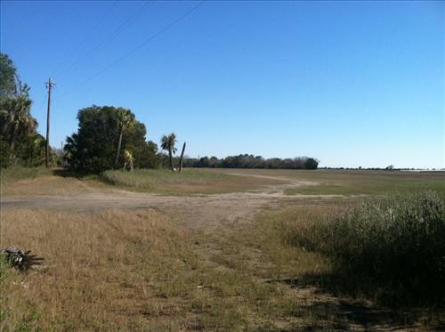 Marsh Social Trail 1