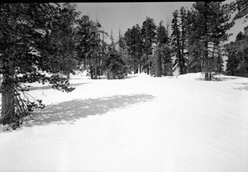 Base of Sentinel Dome.