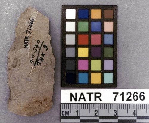 NATR   71266 -- Copena Cluster projectile point