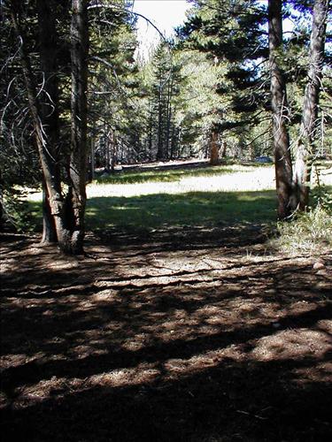 Proposed demonstration stock camp at Lower Rock Creek Xing, Sequoia and Kings Canyon National Park