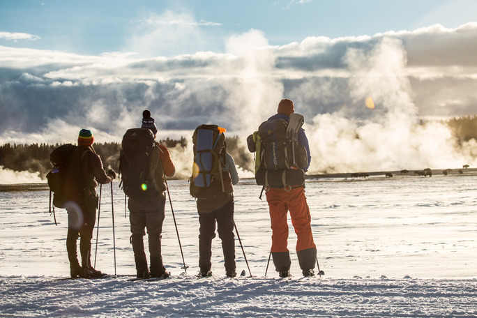 Skiers standing on edge of snow covered road looking at bison and steam from thermal features in the distance