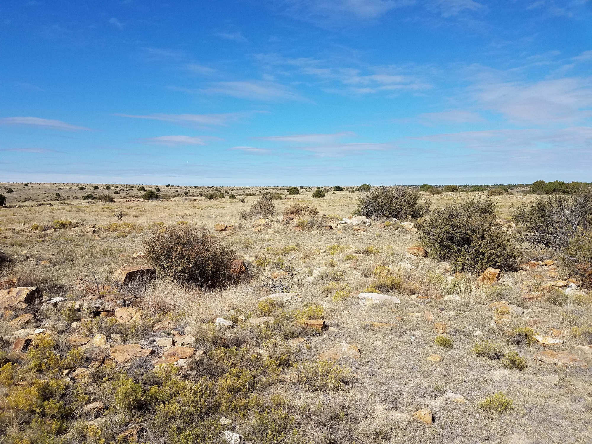 A rocky prairie and blue skies at Cimarron National Grassland