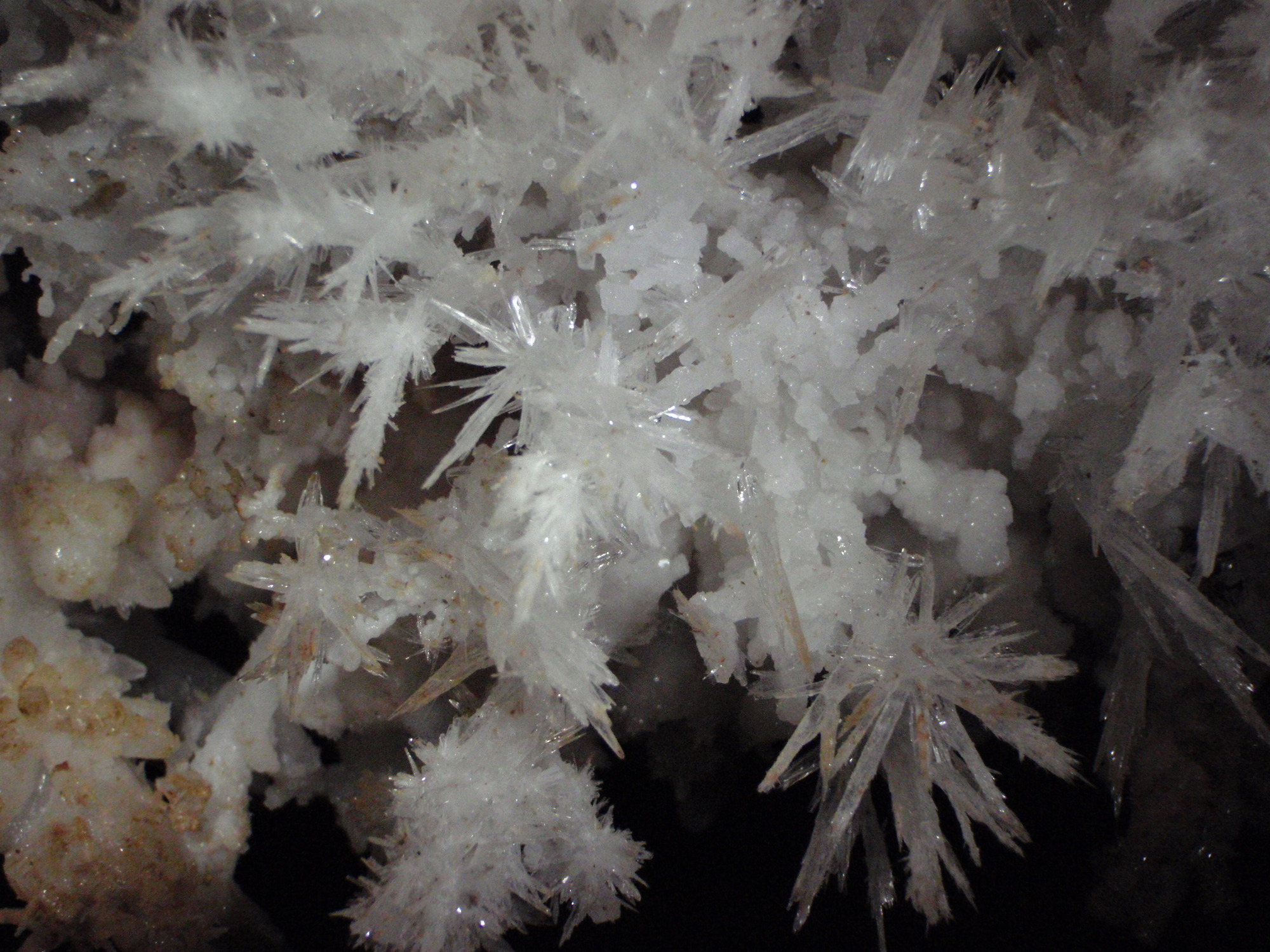 Aragonite frostwork