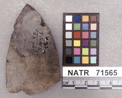 NATR   71565 -- Untyped projectile point