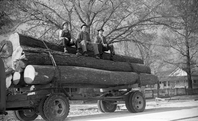 3 men sit atop a pile of freshly cut timber being pulled on a trailer.