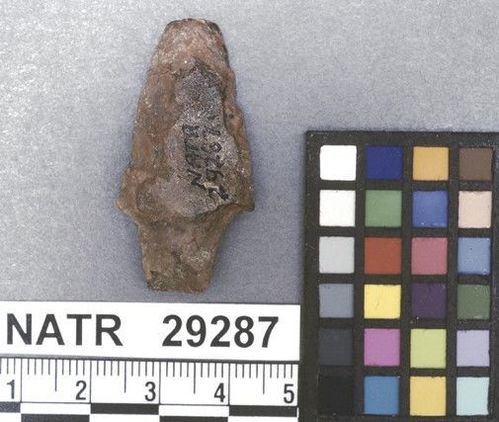 NATR   29287 -- Untyped projectile point