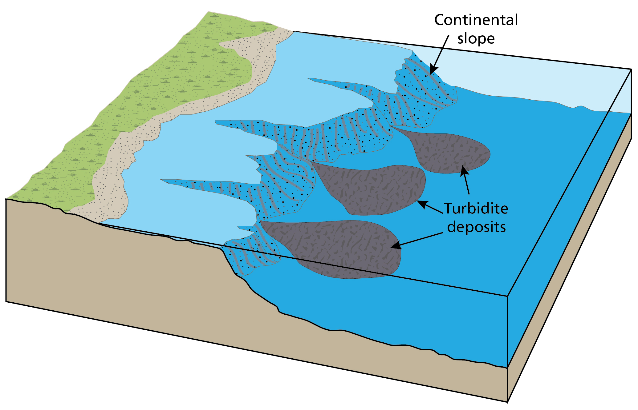 Illustration of turbidite formation. 