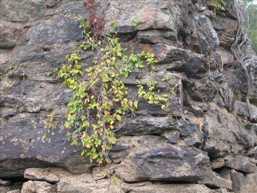 Images of the remnants of Miller Covered Bridge at Horseshoe Bend NMP in October 2007