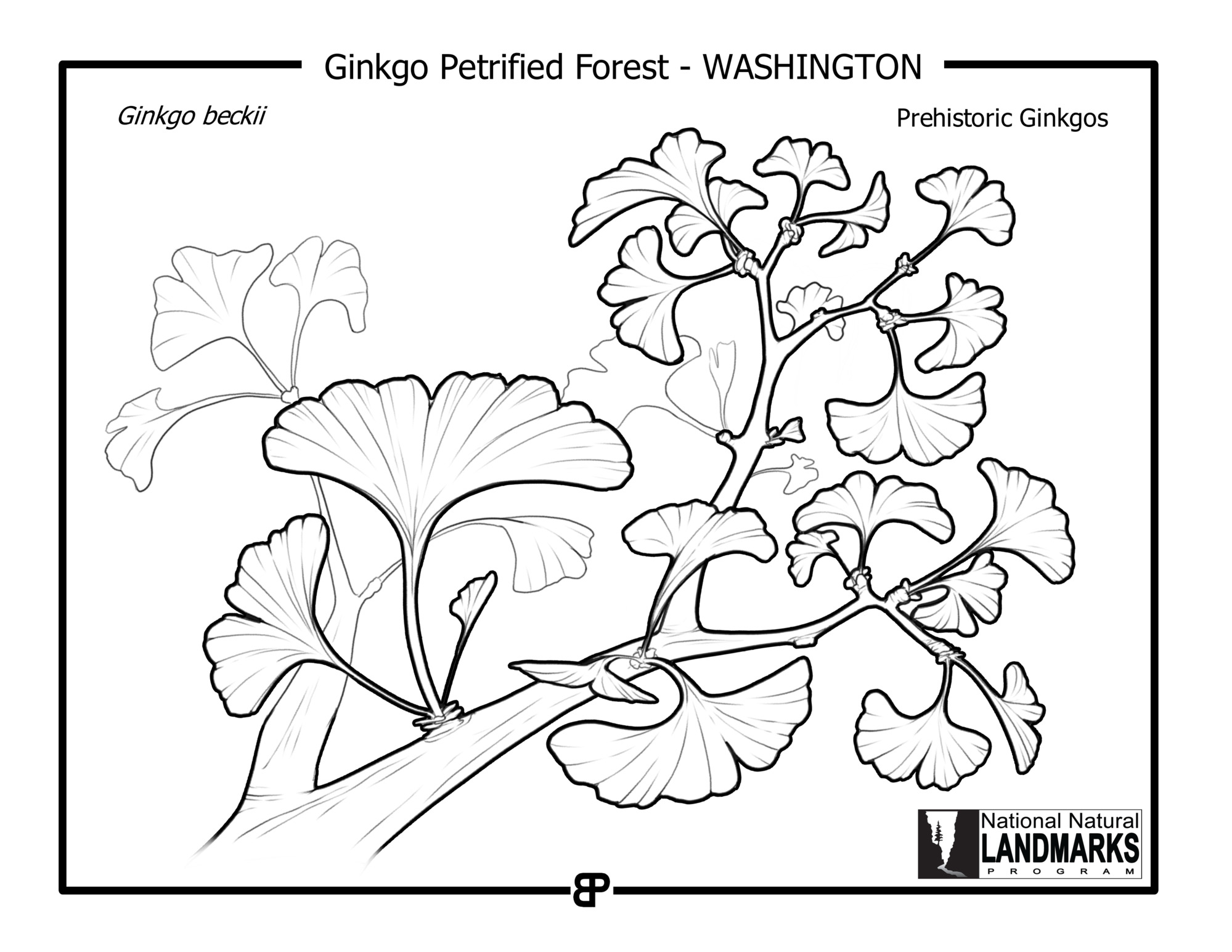 Line drawing of prehistoric gingko tree branch with leaves and program logo