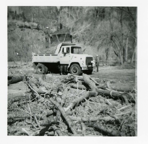 BW photo of the removal of debris from cleaning and/ or pruning.