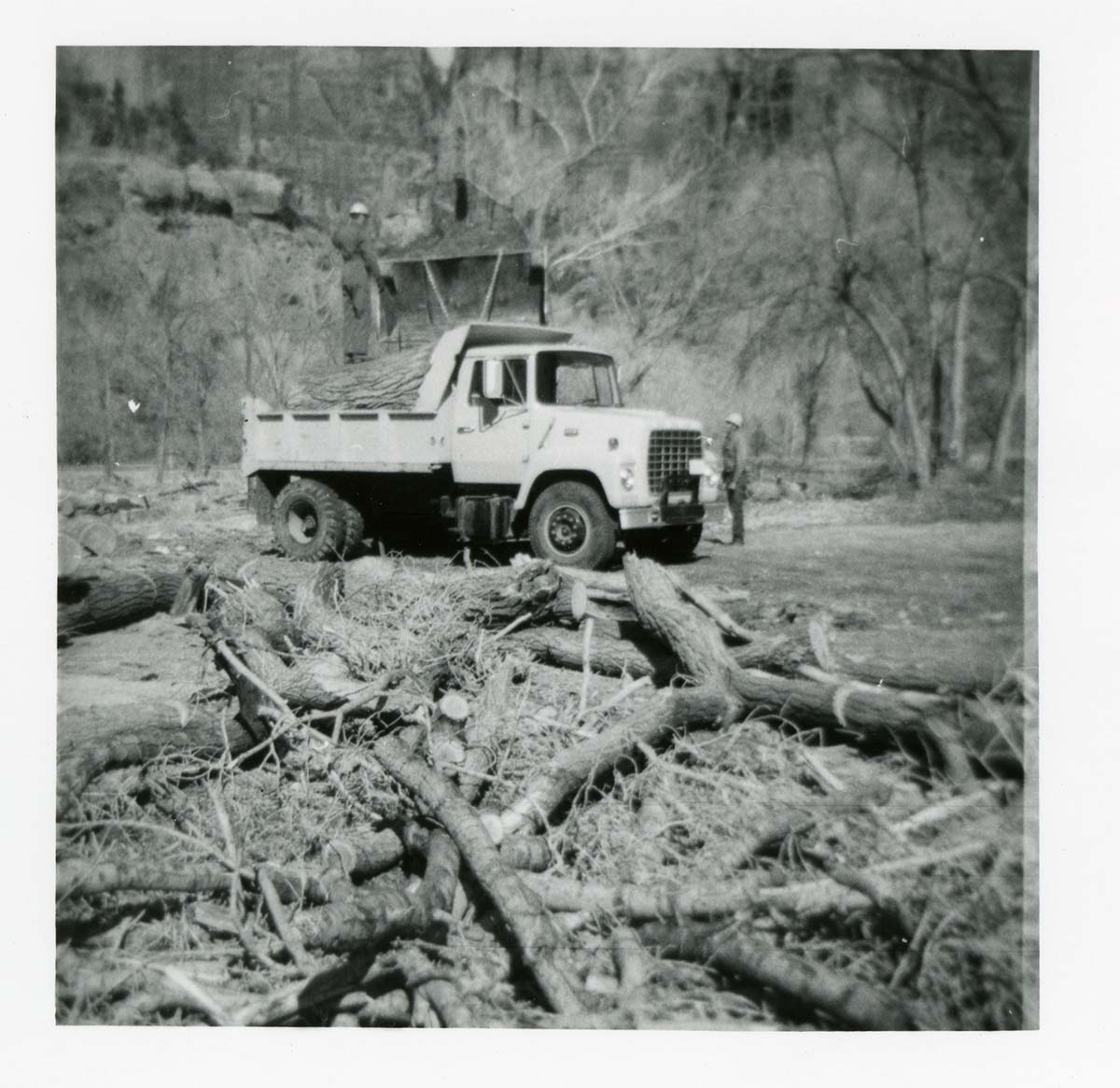 BW photo of the removal of debris from cleaning and/ or pruning.