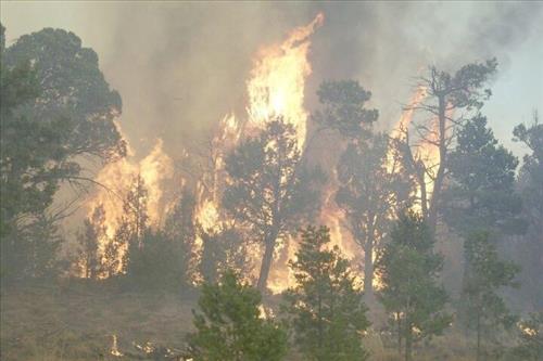 Full fire with black smoke in wooded areas during Long Mesa Fire at Mesa Verde National Park, July 29-Aug. 4, 2002