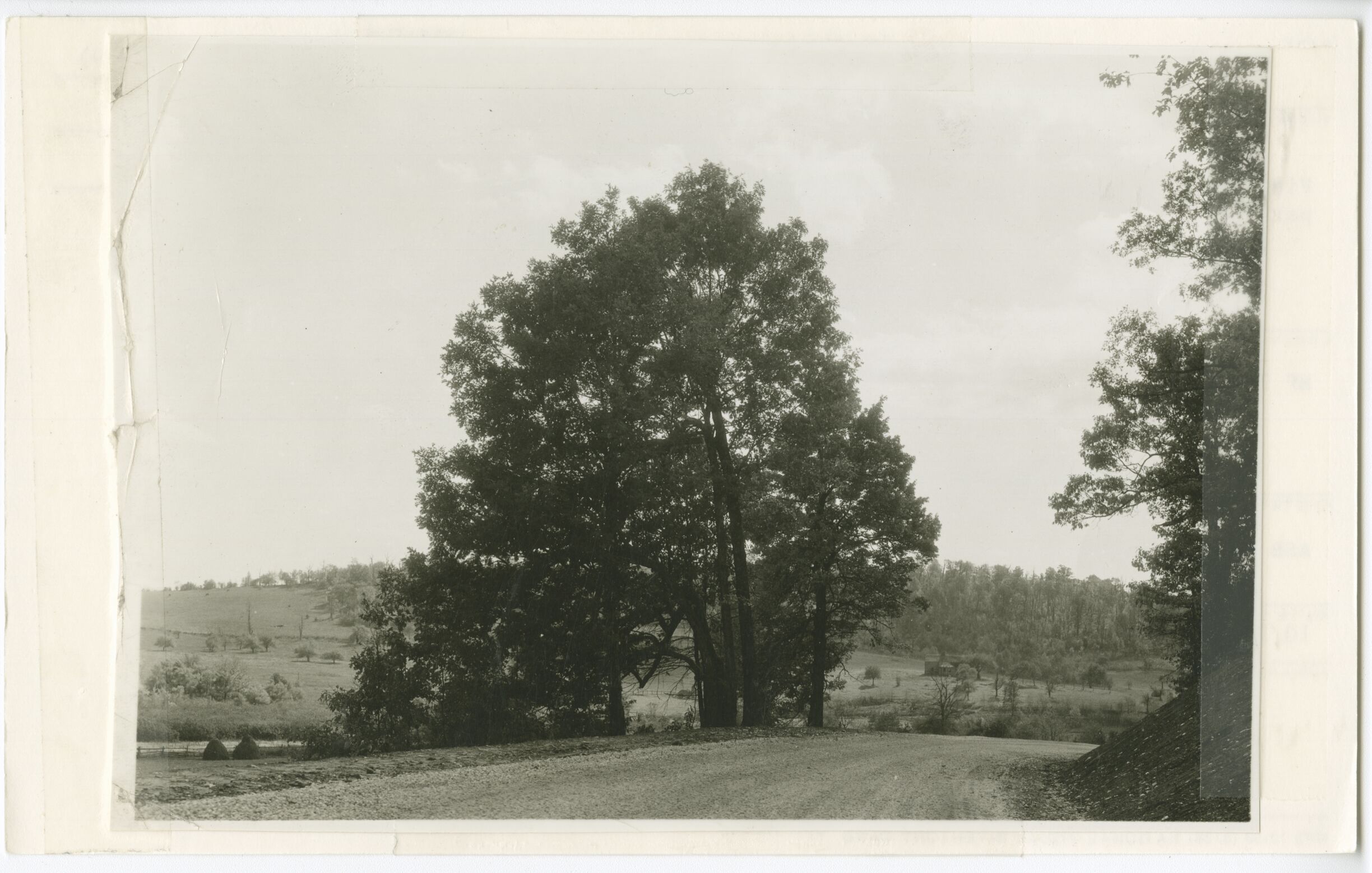 View looking south along Parkway