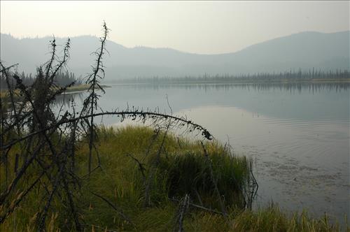 2 Water Quality Testing in Yukon-Charley Rivers National Preserve, August 2005