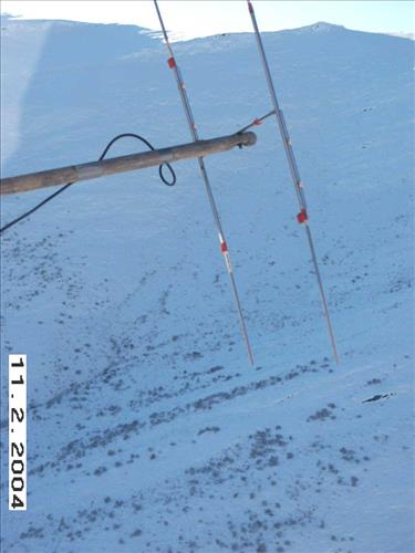 8 Gates of the Arctic National Park and Preserve Koyukuk Moose Survey 2004