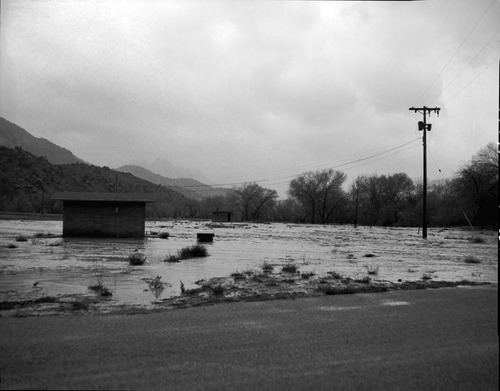 The December 6, 1966 flood, waters and debris still flowing near Watchman amphitheater. Taken from the campground road looking south. Eagle Crags in the far distance.