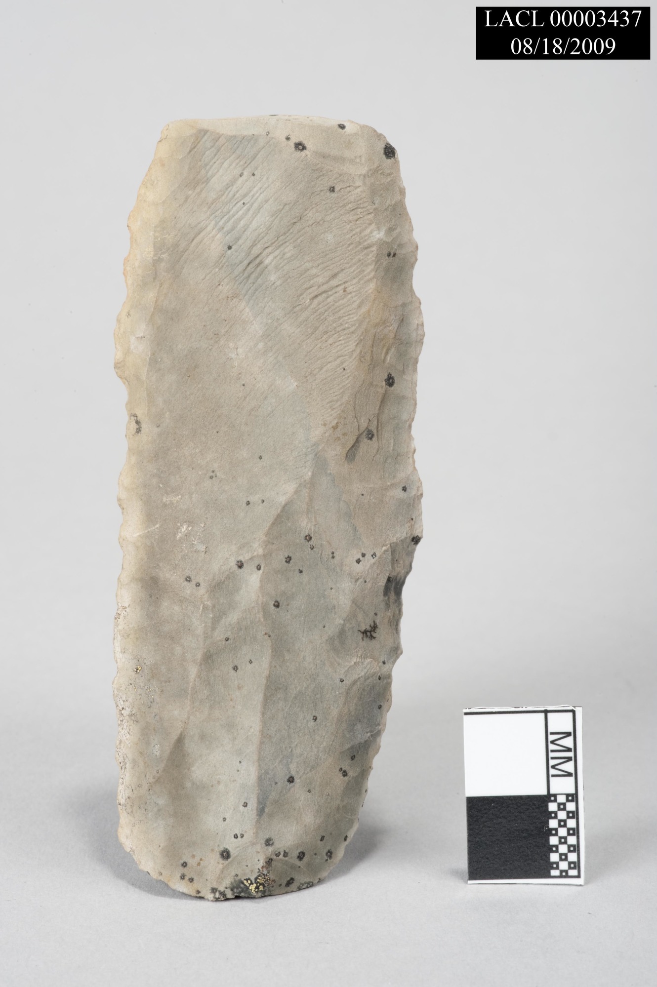 Image of stone chert flake.